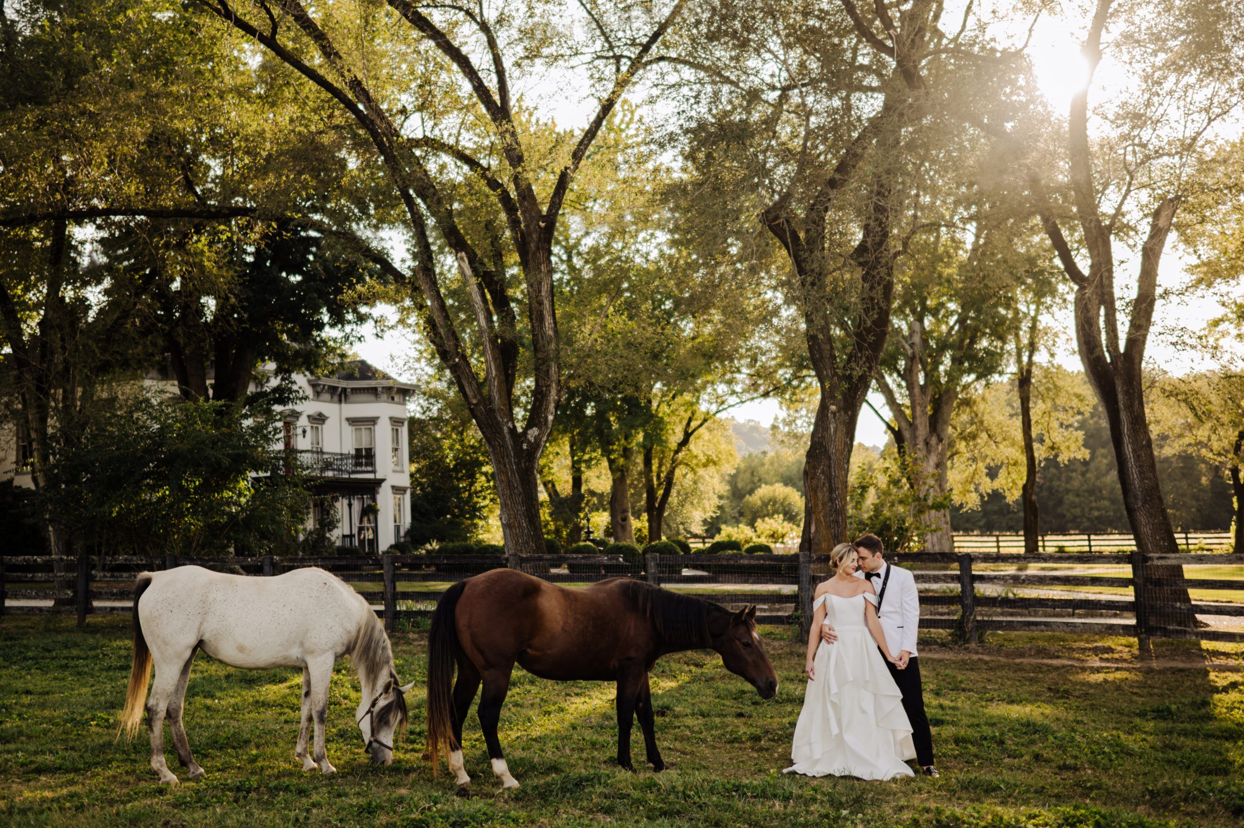 Couple poses with horses for Louisville Wedding Photographer